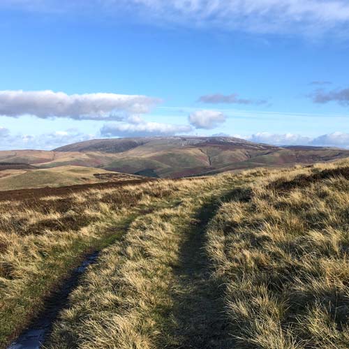 Hill top track with view of The Cheviot