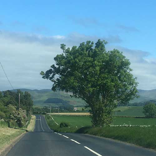 Road from Kelso to Yetholm, heading towards Cheviot Hills