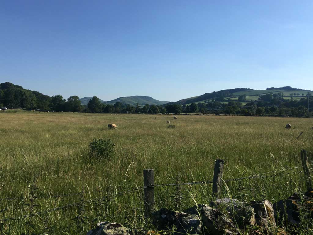 Haugh meadow with distant hills and wall in front, blue sky