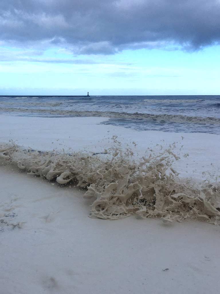 Wave coming into shore