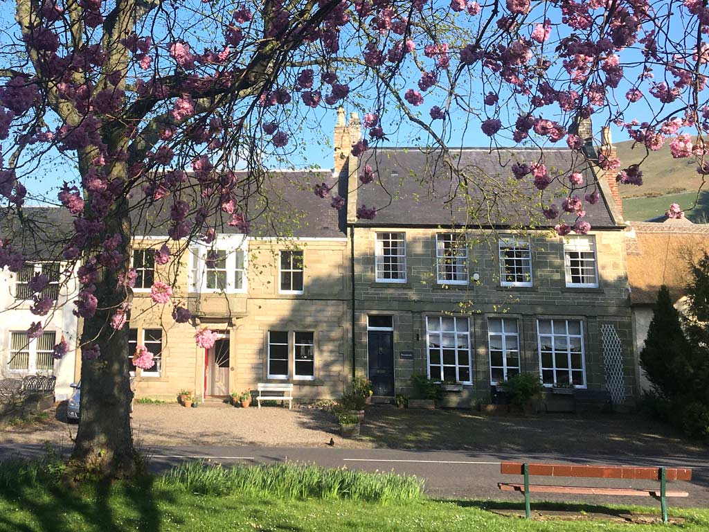 View of High Street, Town Yetholm with cherry blossom