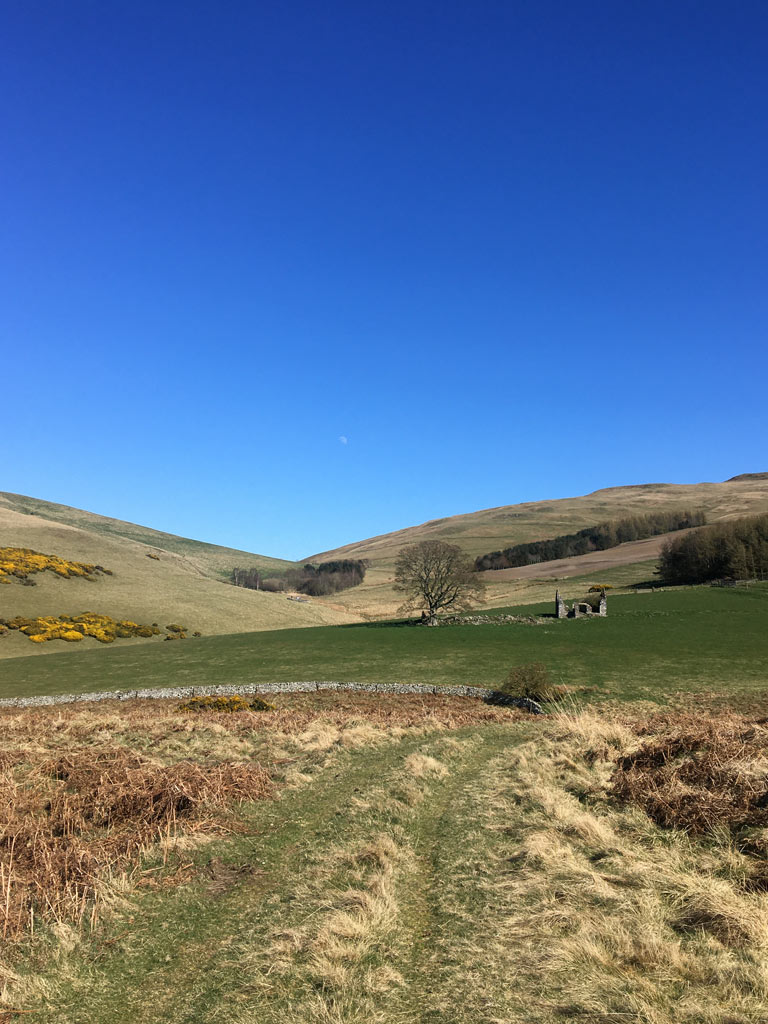 The ruined house of Seefew in the Cheviot Hills